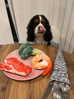 Load image into Gallery viewer, Raw Steak Squeaky Toy
