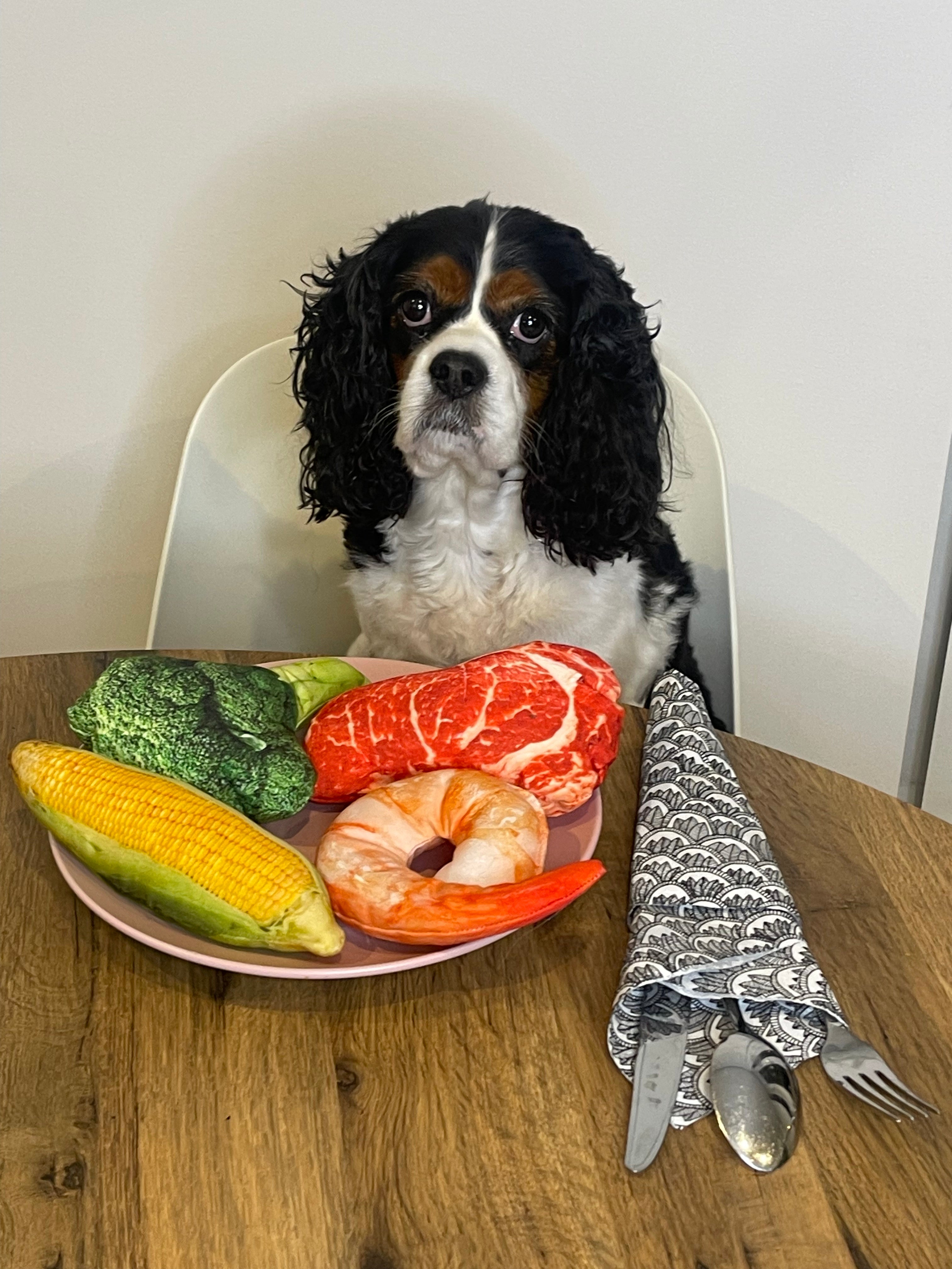 Broccoli Squeaky Toy