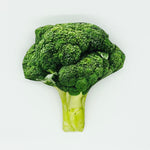 Load image into Gallery viewer, Broccoli Squeaky Toy
